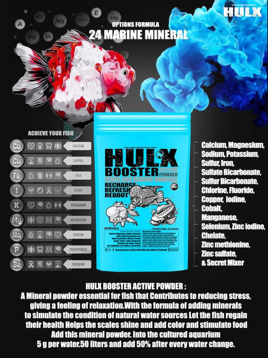 HULX BOOSTER ACTIVE POWDER: